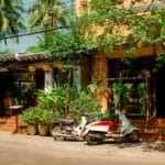 10 Essential Tips for Creating a Thriving Home Garden