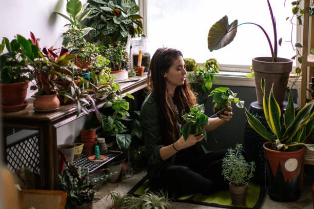 Indoor oxygen plants
