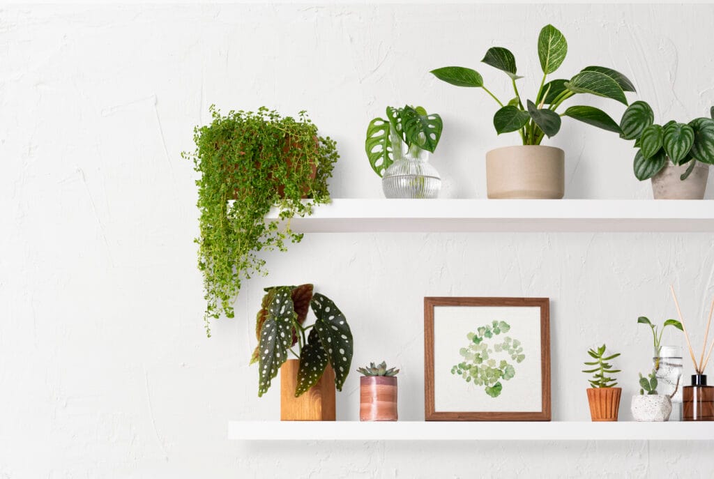 Indoor plant stand