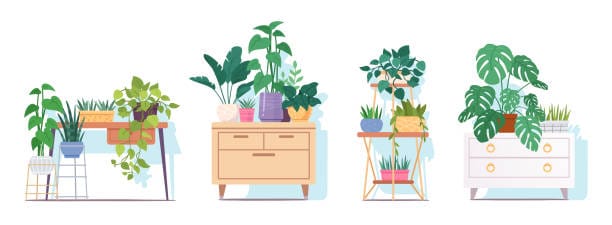 Choosing the Perfect Indoor Plant Stand