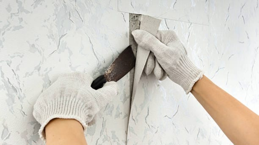 A Step-by-Step Guide on Removing Wallpaper from Walls