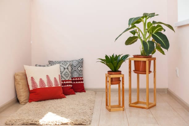 Why an indoor plant stand