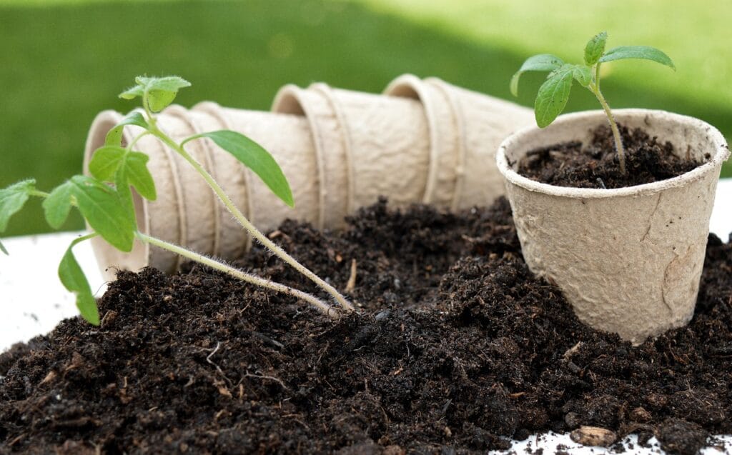 Sustainable Gardening
