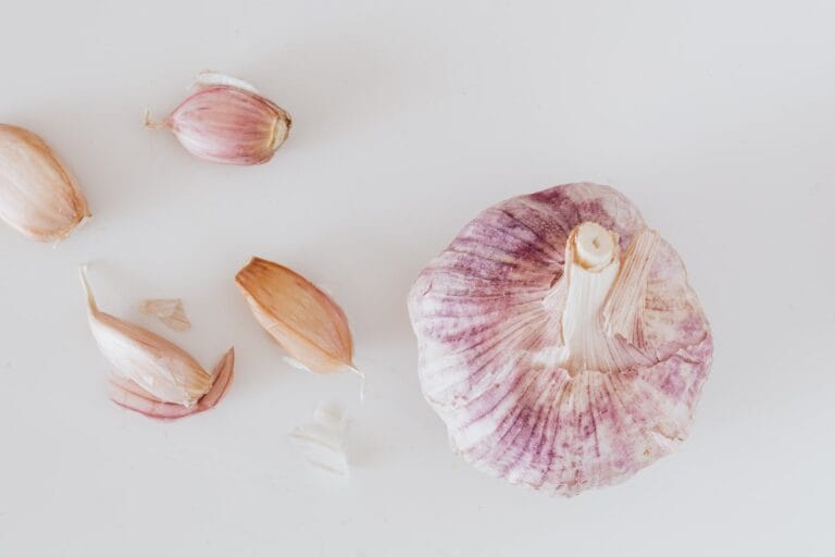 The Secret Ingredient: Garlic Powder for Thriving Gardens