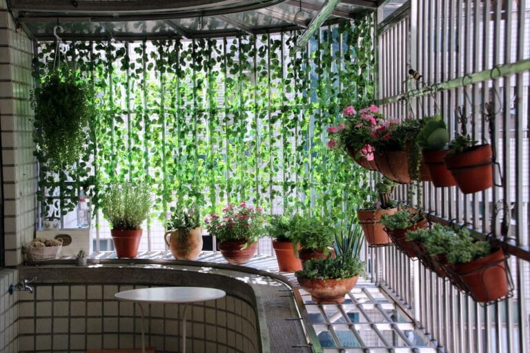 Brighten Your Home with 17 Top Indoor Hanging Plants That Maximize Vertical Space