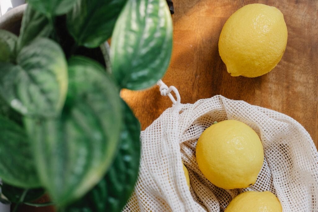 Lemon Plant