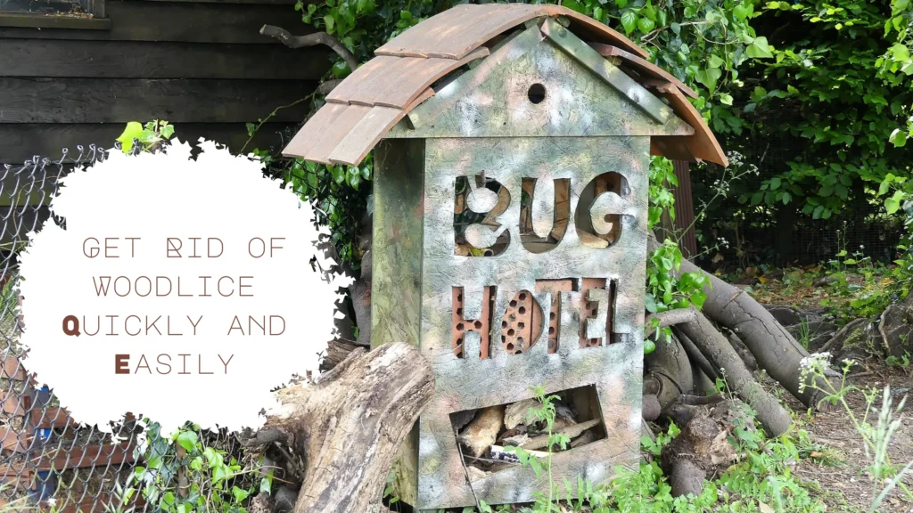 How to get rid of Woodlice