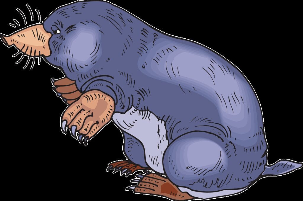 How To Get Rid Of Ground Moles With Vinegar HomyDecors