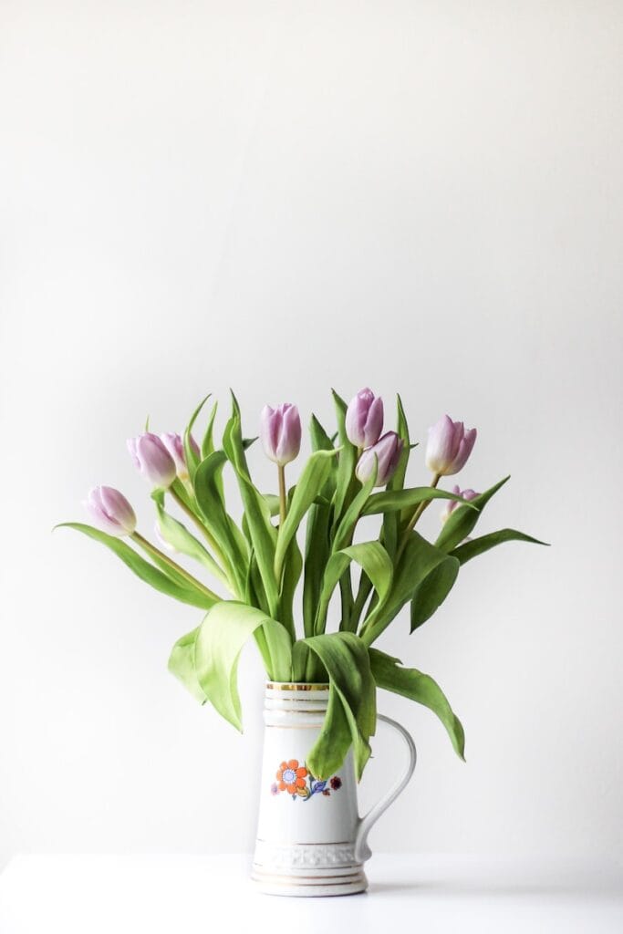 waterlily tulips