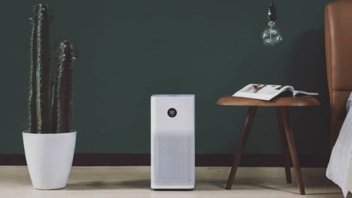Best Air Purifiers for Home