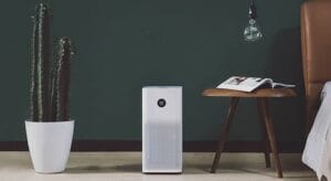 Best Air Purifiers for Home