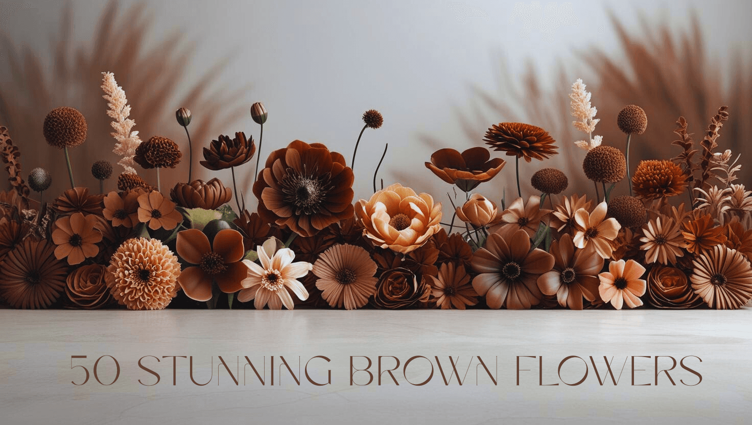 Stunning Brown Flowers