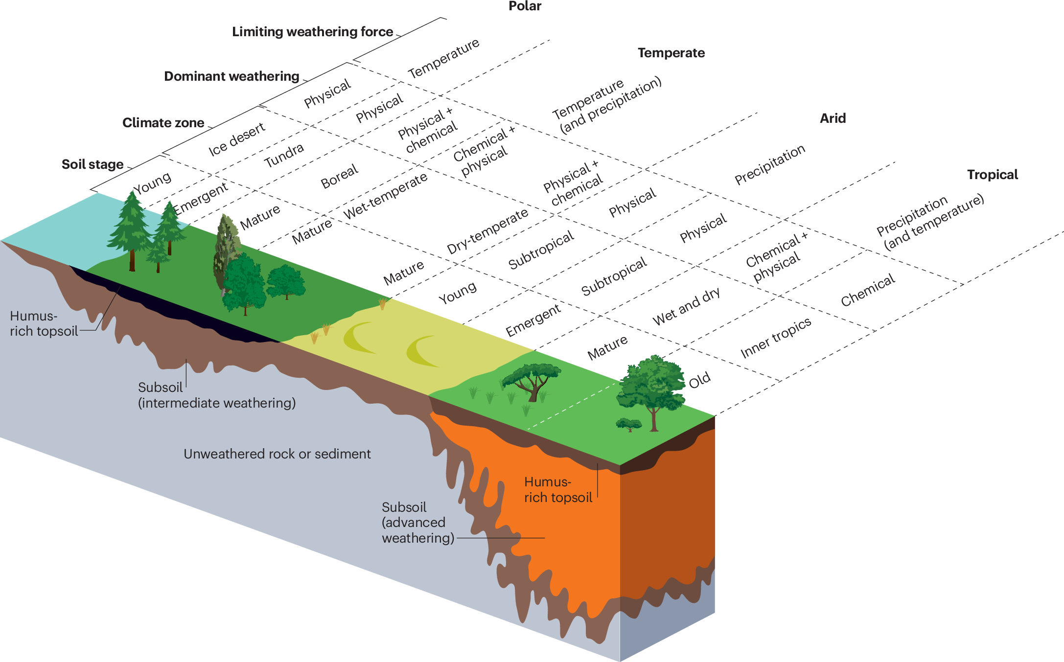 Soil layers and climate zone interactions