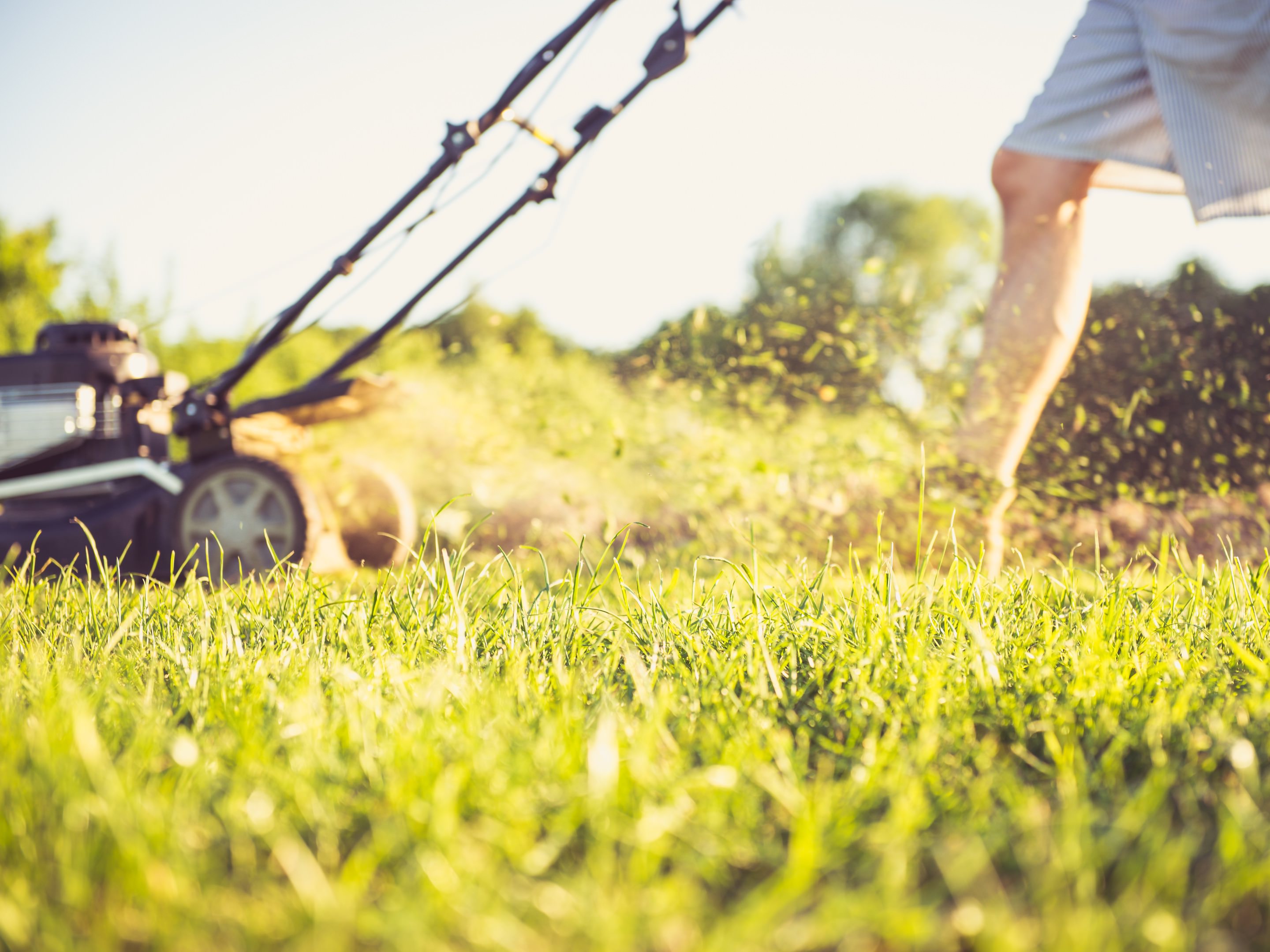 Person mowing grass on sunny day