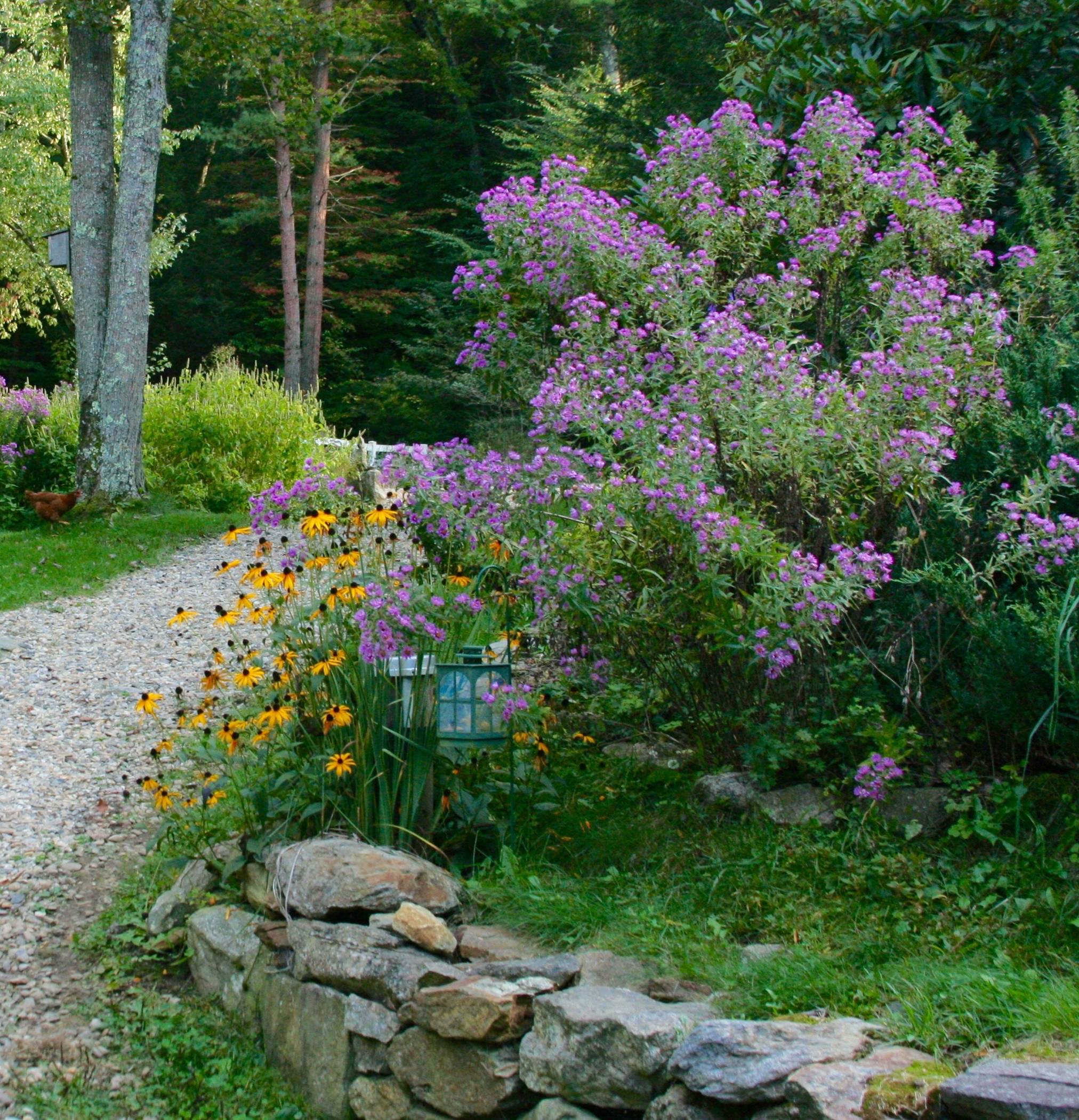 Colorful flowers along a gravel path.